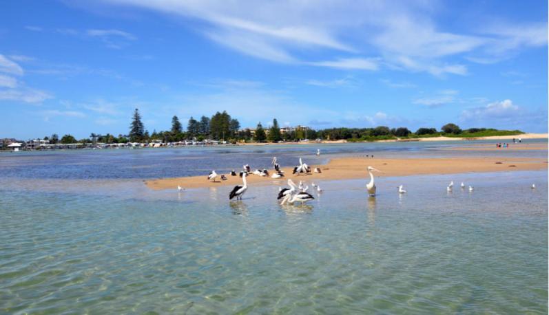 Bay House Motel Bateau Bay Luaran gambar